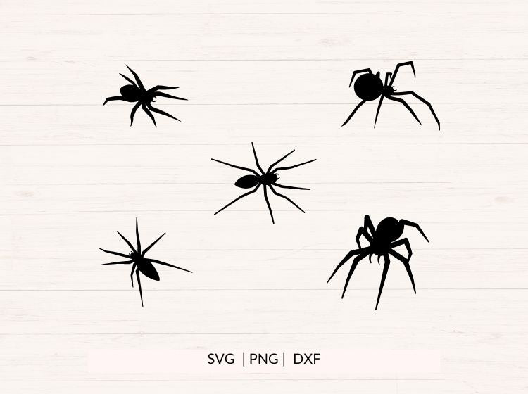 Spider SVG PNG DXF Bundle – Halloween Clipart & Insect Cut Files