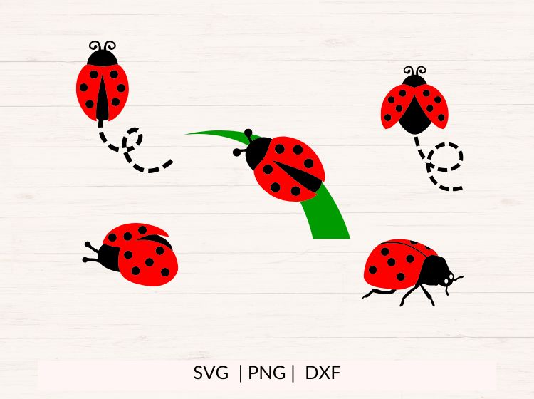 Ladybug SVG PNG DXF Bundle – Insect Clipart & Bug Cut Files