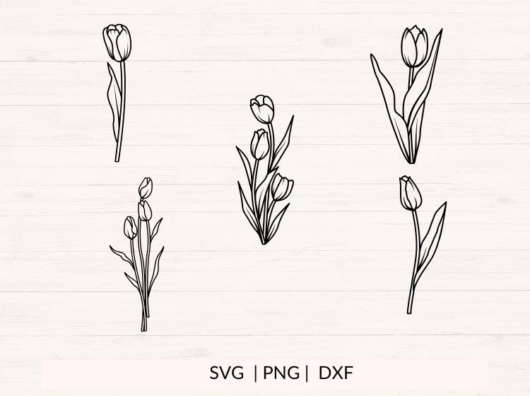 Tulip svg bundle