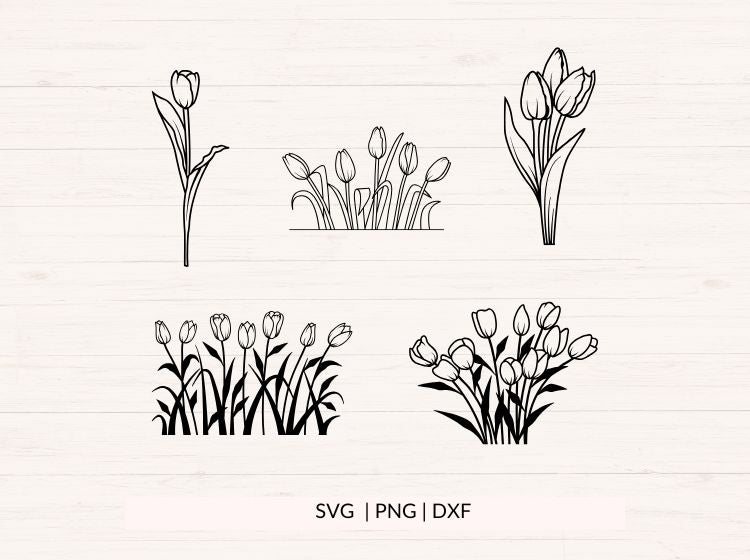 Tulip svg bundle