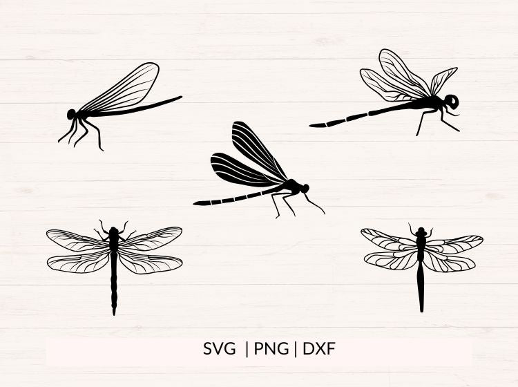 Dragonfly SVG PNG DXF Bundle – Insect Silhouette Cut Files