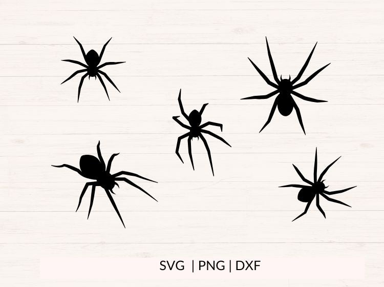 Spider SVG PNG DXF Bundle – Halloween Clipart & Insect Cut Files
