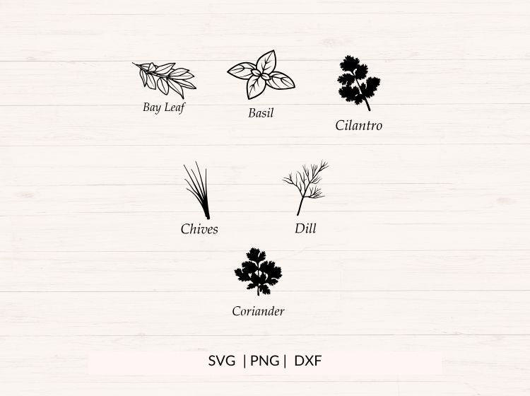 Herbs & Spices svg Bundle