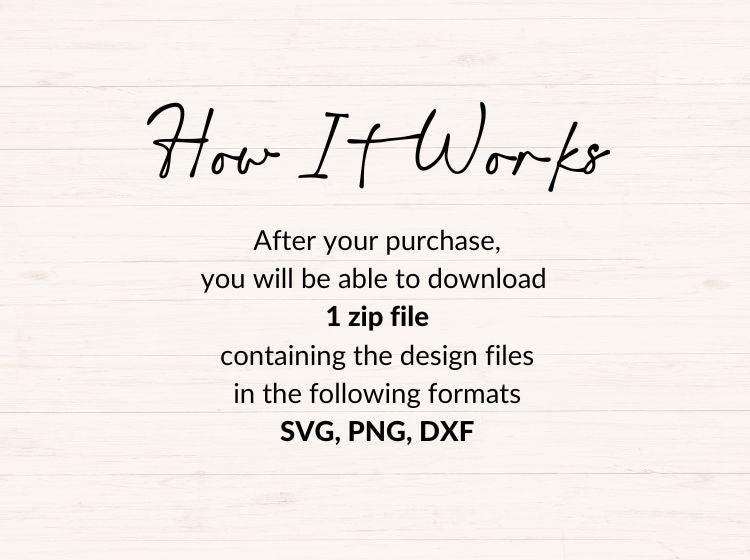Spider SVG PNG DXF Bundle – Halloween Clipart & Insect Cut Files