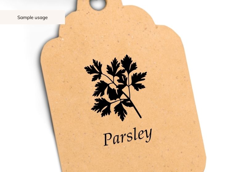 Herbs & Spices svg Bundle