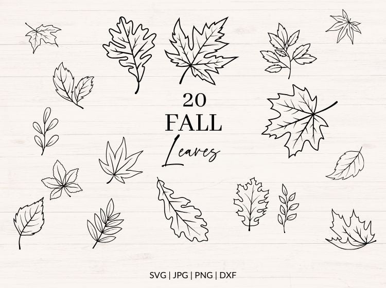 Fall Leaves svg Bundle