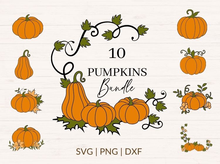 Pumpkin svg Bundle