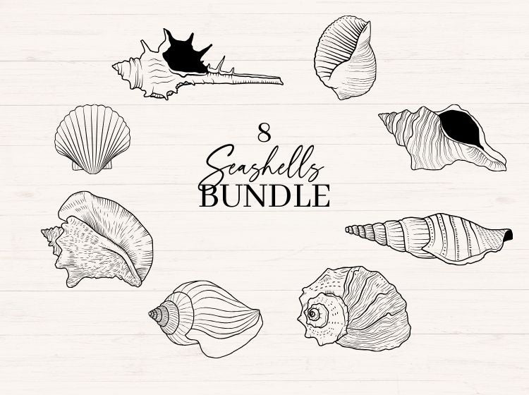 Seashell svg Bundle