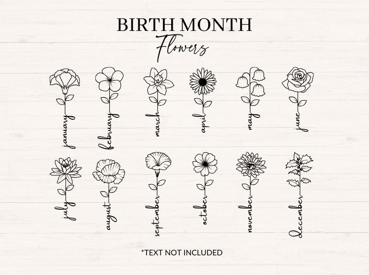 Birth Month Flowers Single Stem