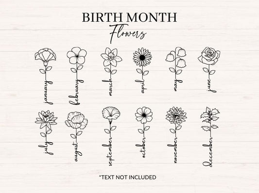 Birth Month Flowers Single Stem