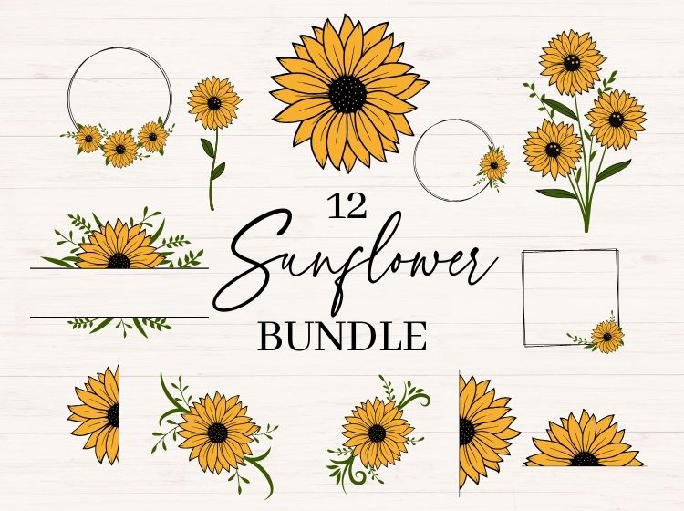 Sunflower svg Bundle - 3 Colors