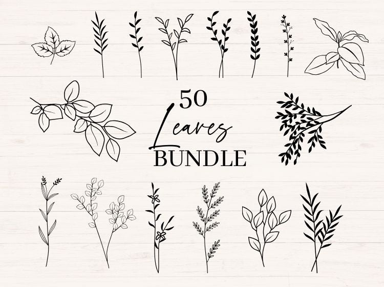 Botanical svg Bundle with Leaves, Branches and Weeds