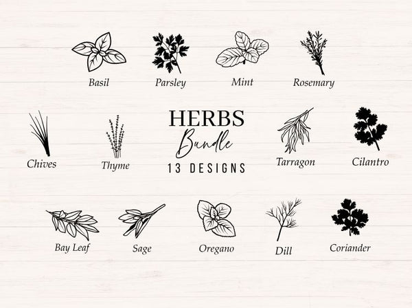 Herbs & Spices svg Bundle