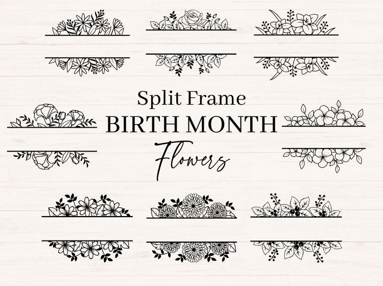 Split Frame Birth Month Flowers svg Bundle