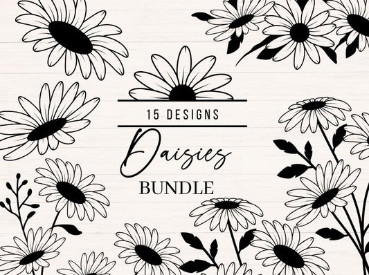 Daisy svg Bundle