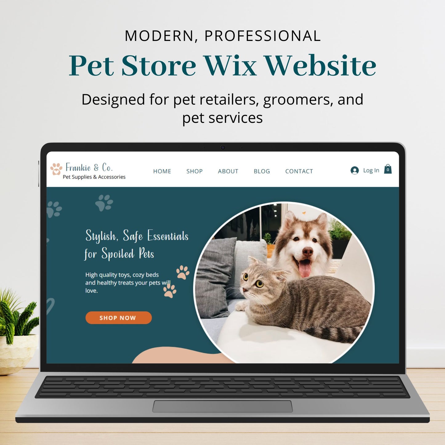 Pet Store Wix Website Template