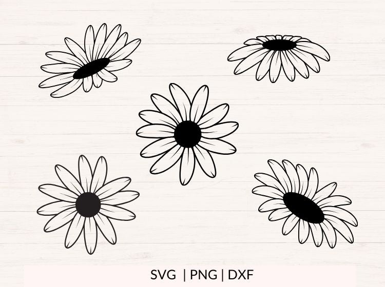 Daisy svg Bundle