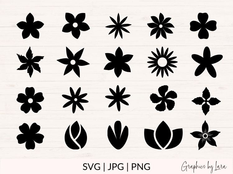 Flowers & Leaves svg Bundle