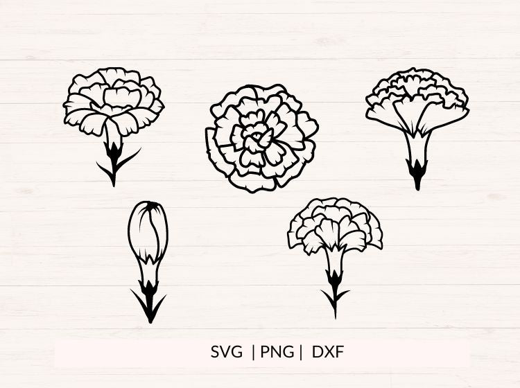 Carnations svg Bundle