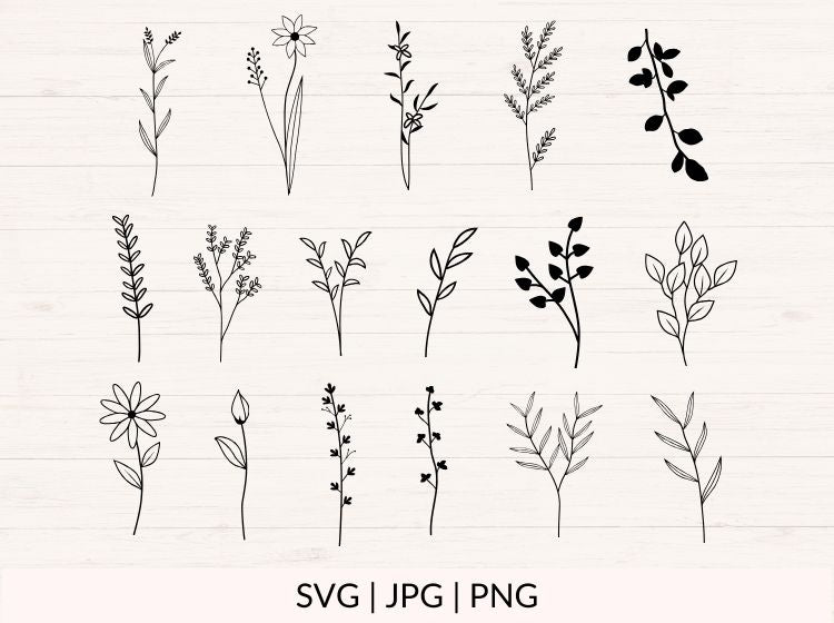 Botanical svg Bundle with Leaves, Branches and Weeds