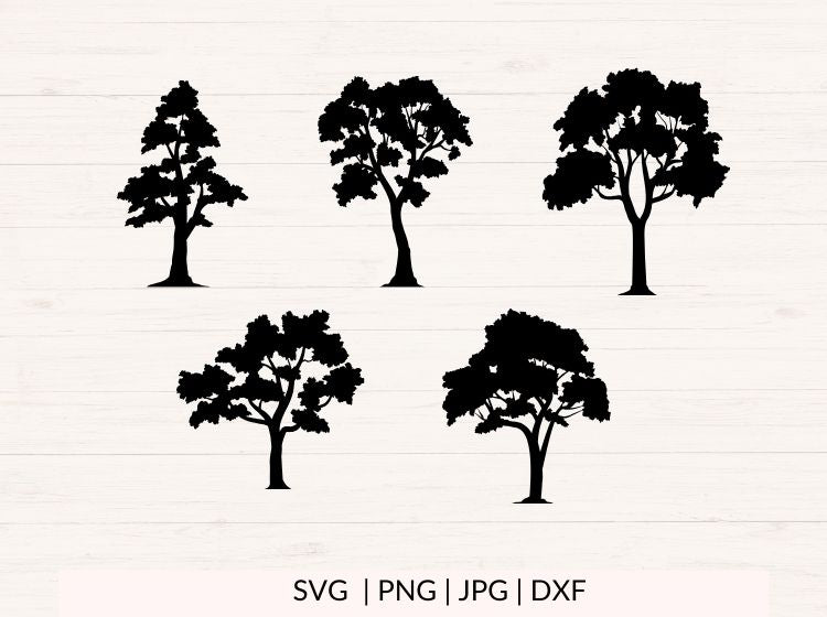 Trees svg Bundle