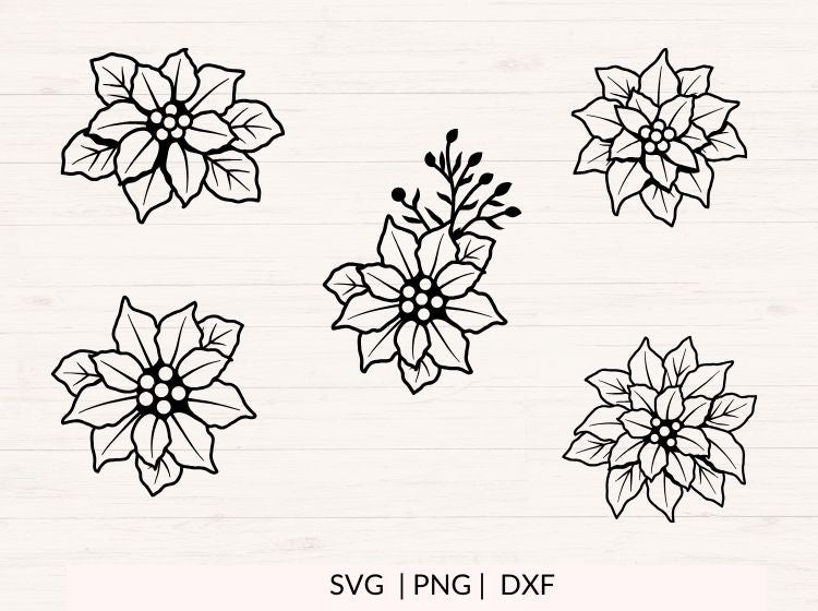 Poinsettia svg Bundle (Christmas Flowers)