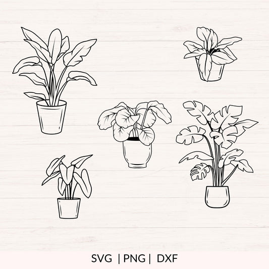 Potted Plants svg Bundle - Gardening & House Plants