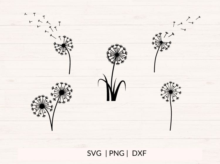 Dandelion svg bundle