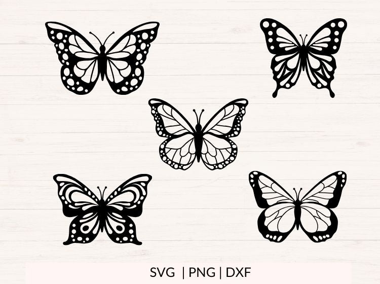 Butterfly svg Bundle