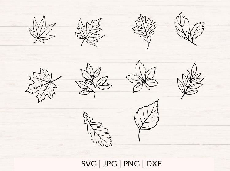 Fall Leaves svg Bundle