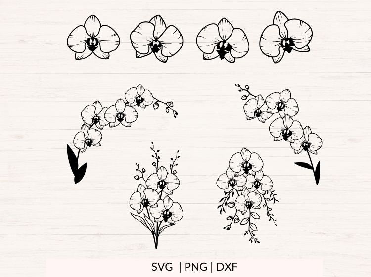 Orchids svg Bundle