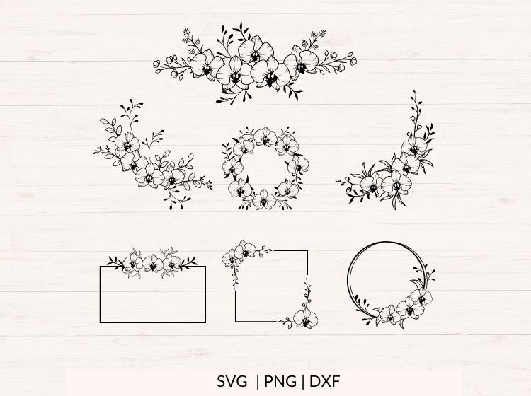 Orchids svg Bundle