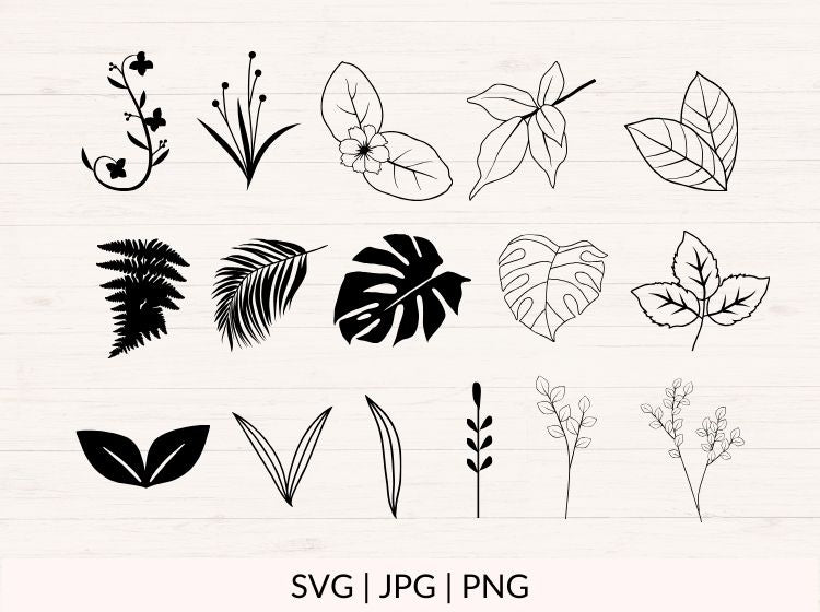 Botanical svg Bundle with Leaves, Branches and Weeds