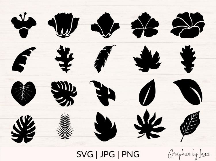 Flowers & Leaves svg Bundle