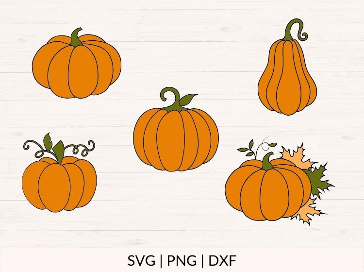 Pumpkin svg Bundle