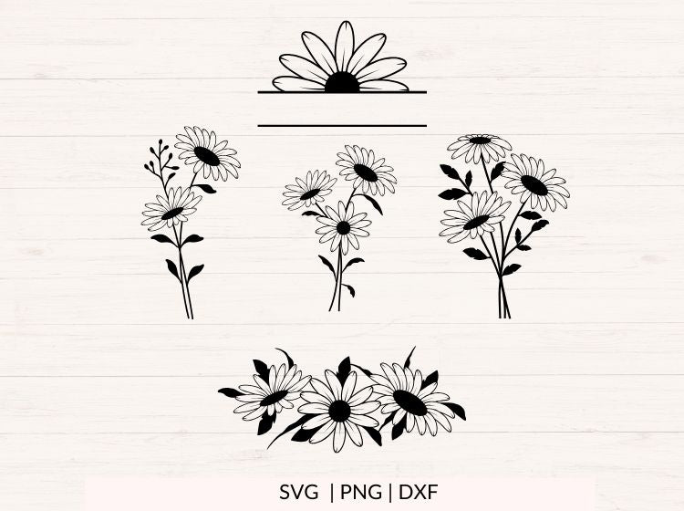 Daisy svg Bundle