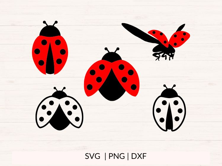 Ladybug SVG PNG DXF Bundle – Insect Clipart & Bug Cut Files