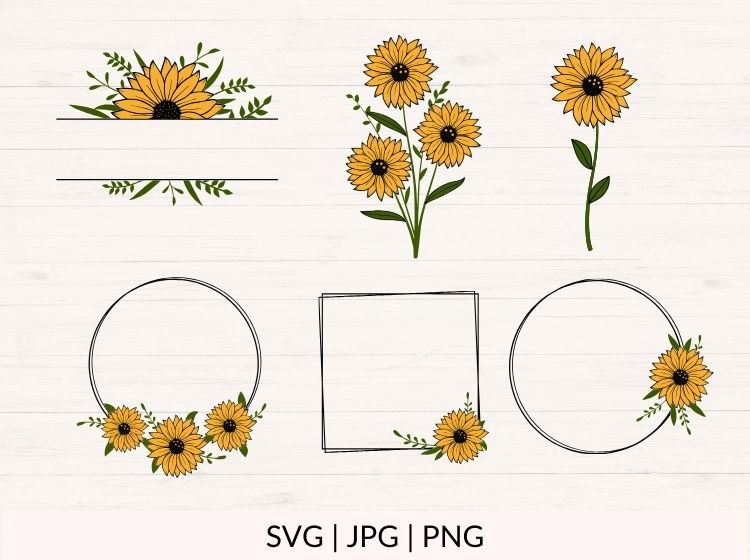 Sunflower svg Bundle - 3 Colors