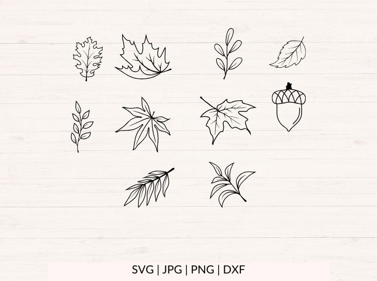 Fall Leaves svg Bundle