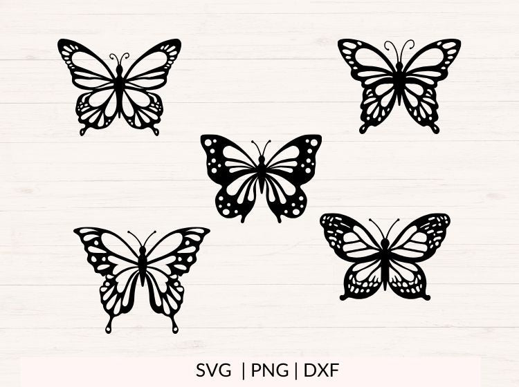 Butterfly svg Bundle