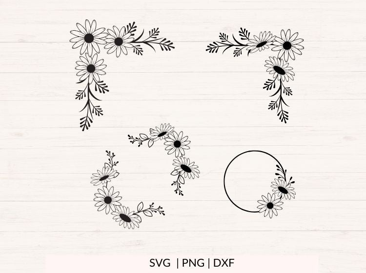 Daisy svg Bundle