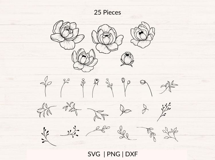 Peonies svg Bundle