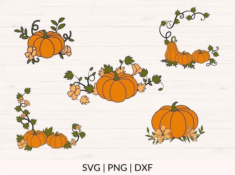 Pumpkin svg Bundle