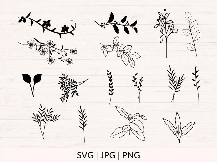 Botanical svg Bundle with Leaves, Branches and Weeds