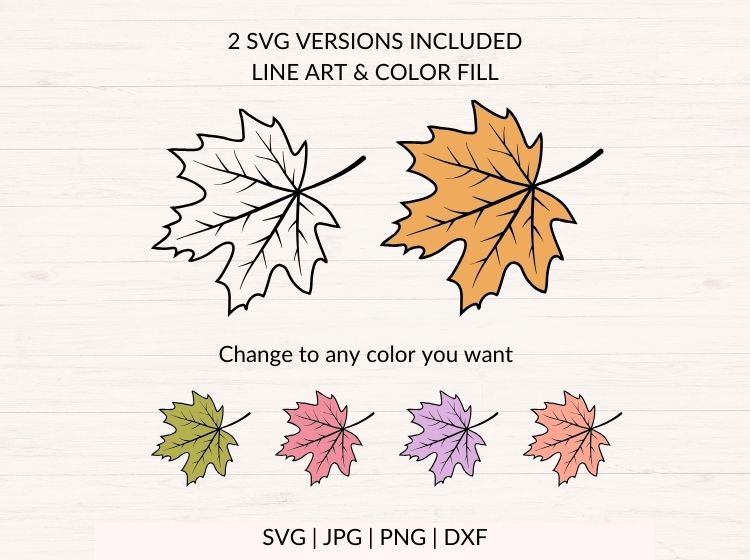 Fall Leaves svg Bundle