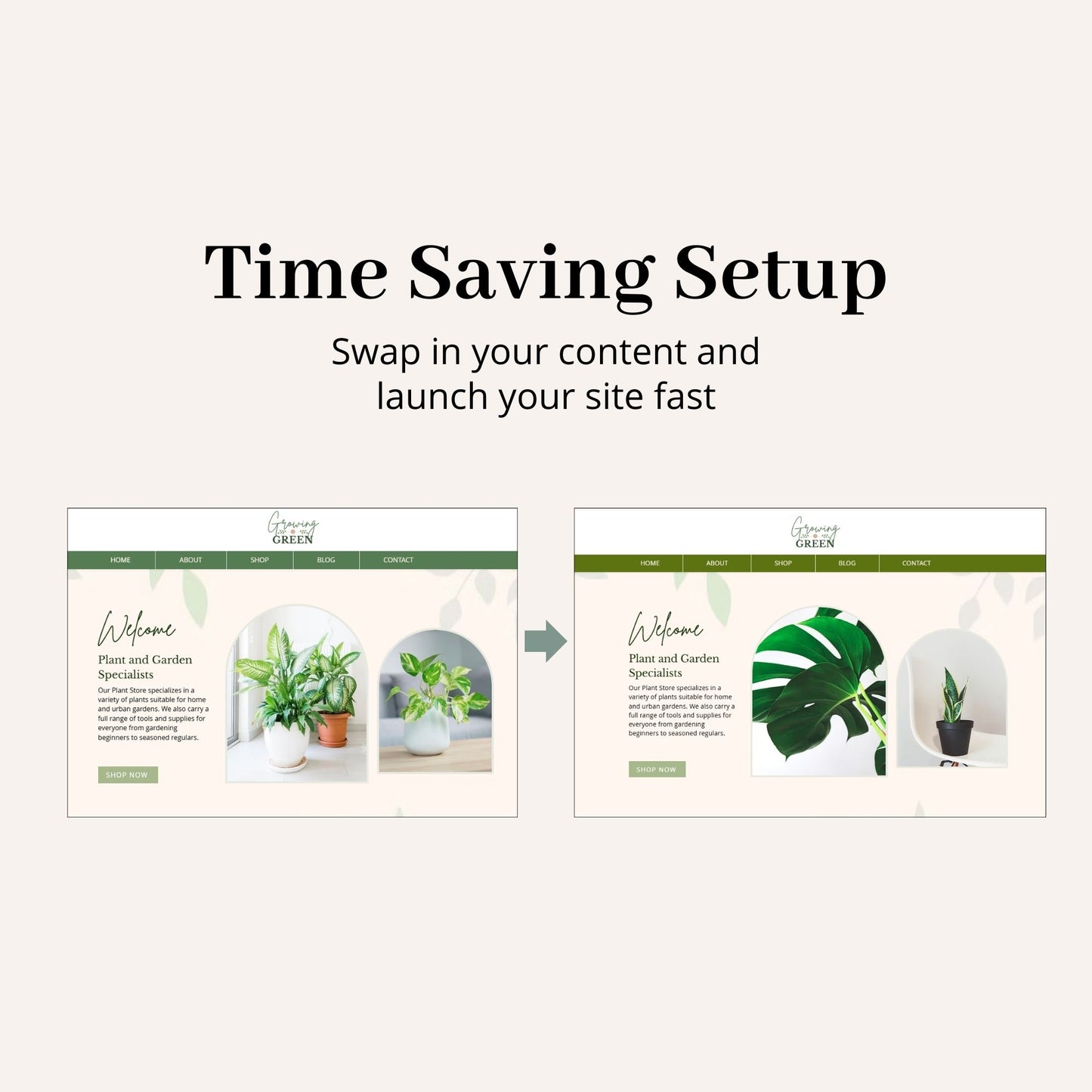 Garden Store Wix Website Theme