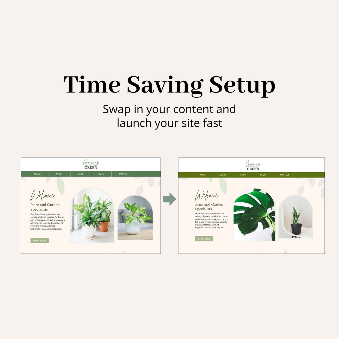 Garden Store Wix Website Theme