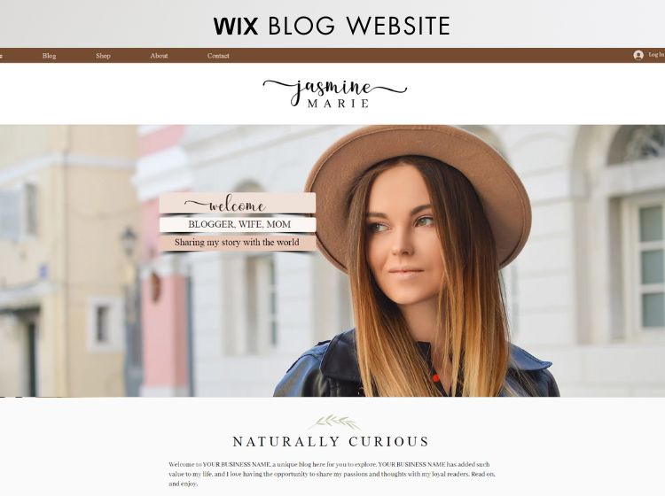 Blogger Wix Website Theme